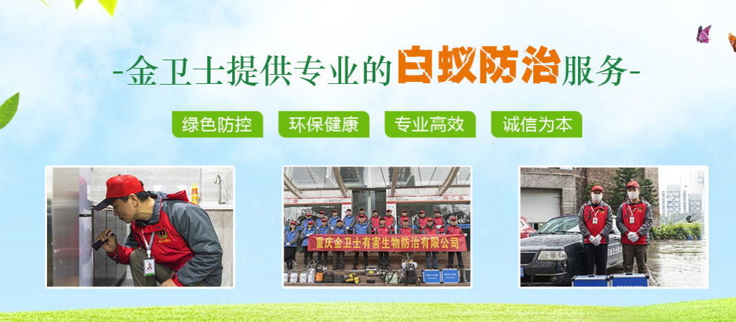 春季3月時(shí)期，白蟻消殺工作任重而道遠(yuǎn)  ?