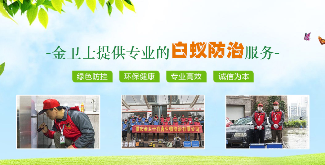 丑陋的蟑螂看起來很可怕。如何解決這種情況？