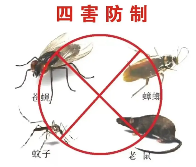床墊易滋生吸血臭蟲，怎樣預(yù)防呢？